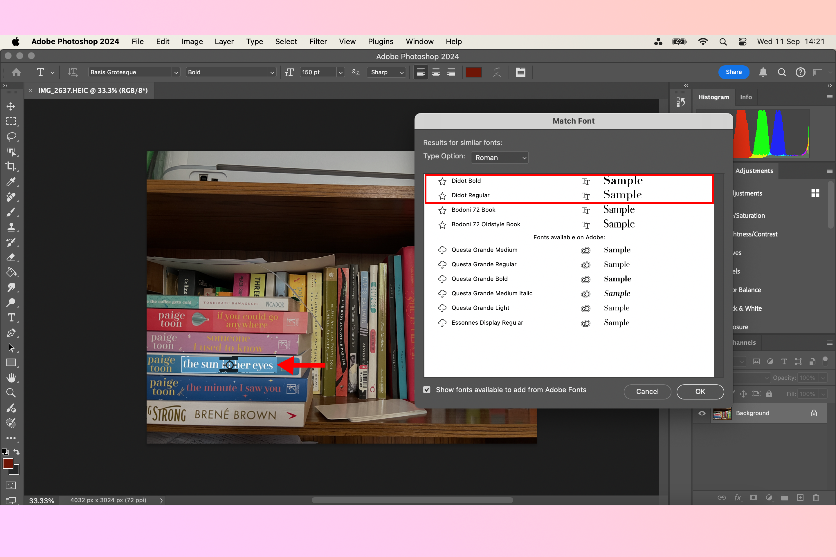 Photoshop Match Font tool with Didot font highlighted