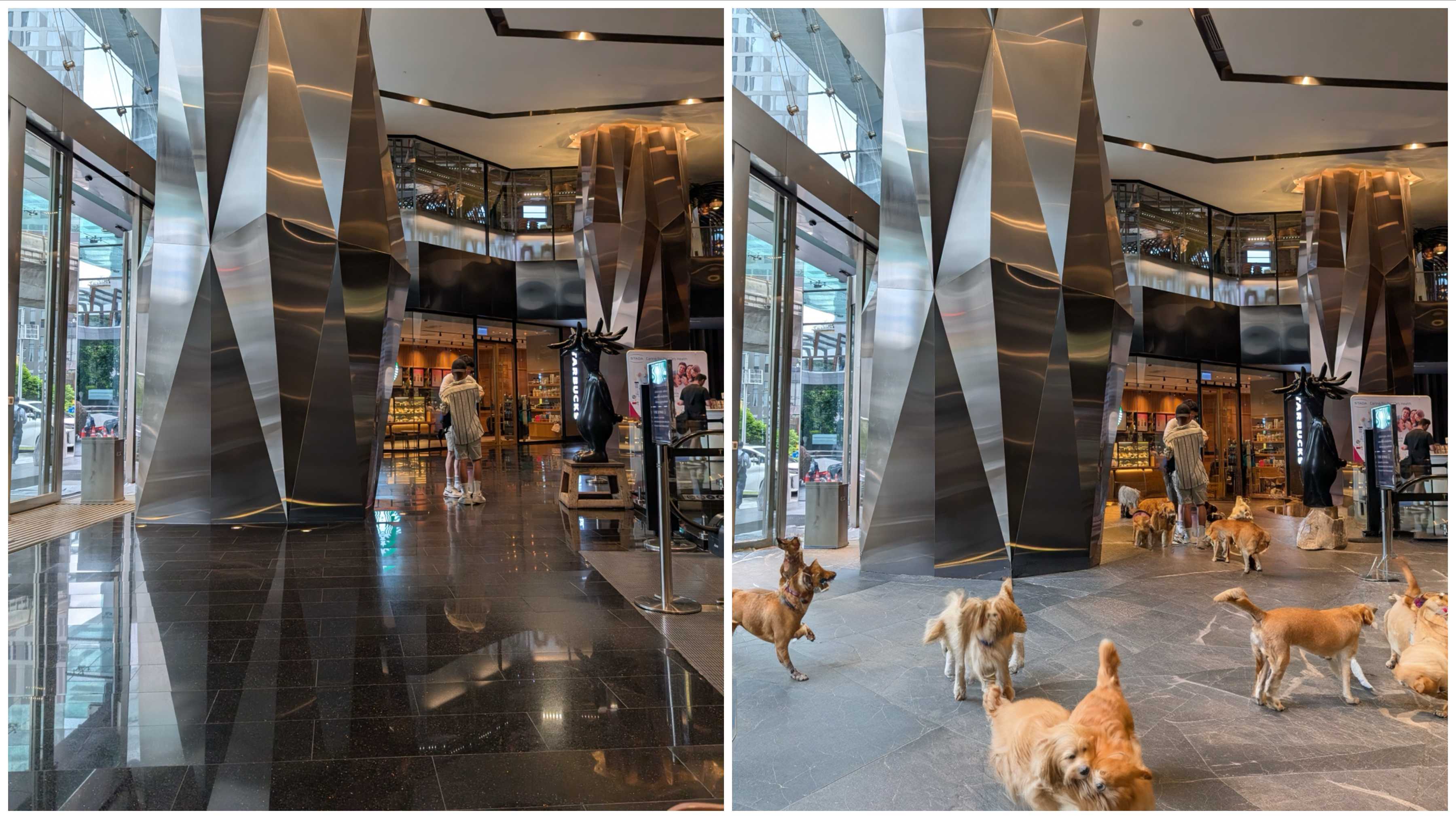 Using "Reimagine" to add a bunch of dogs playing inside an office lobby