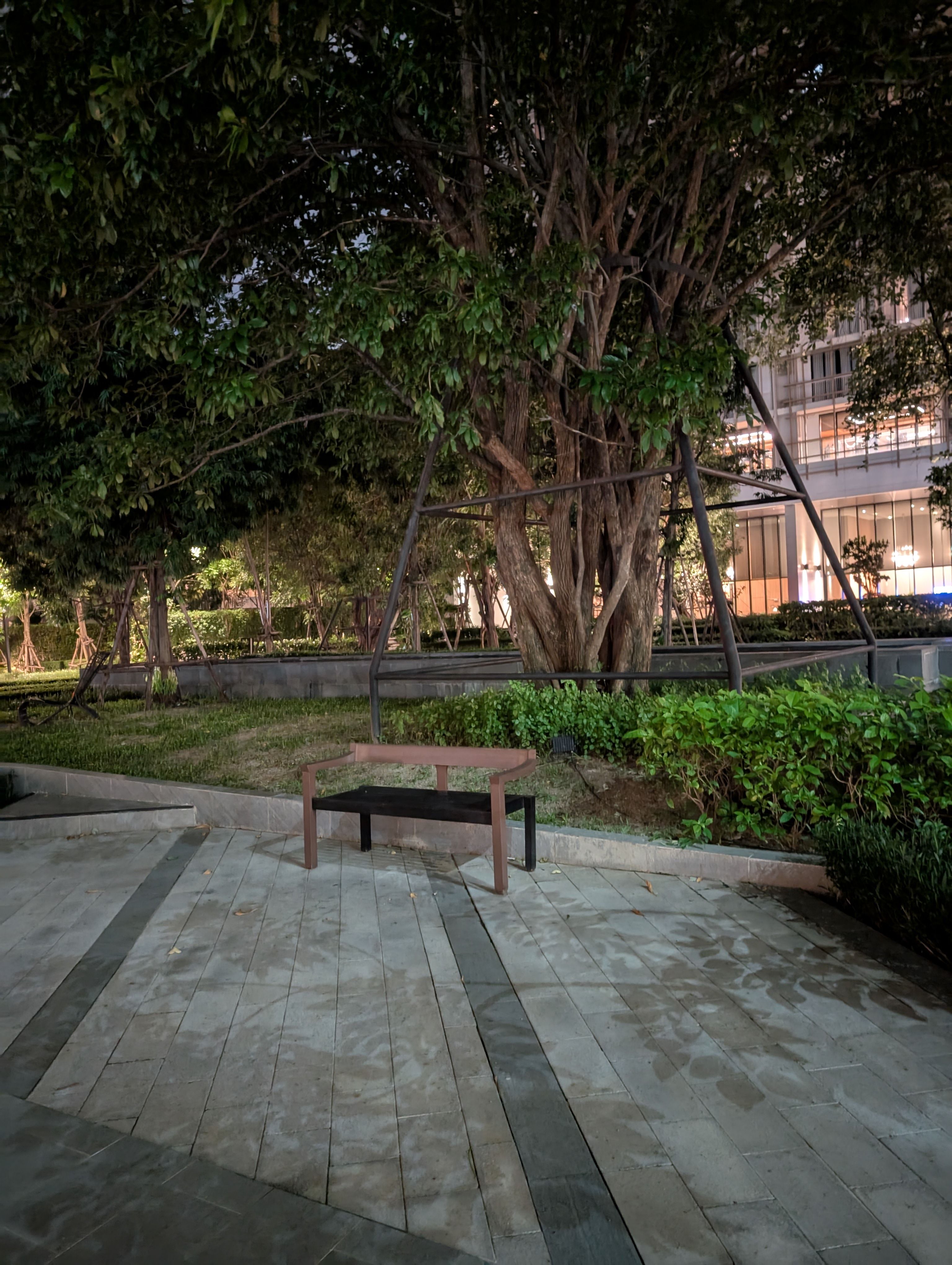 PXL_20240829_123126570-1