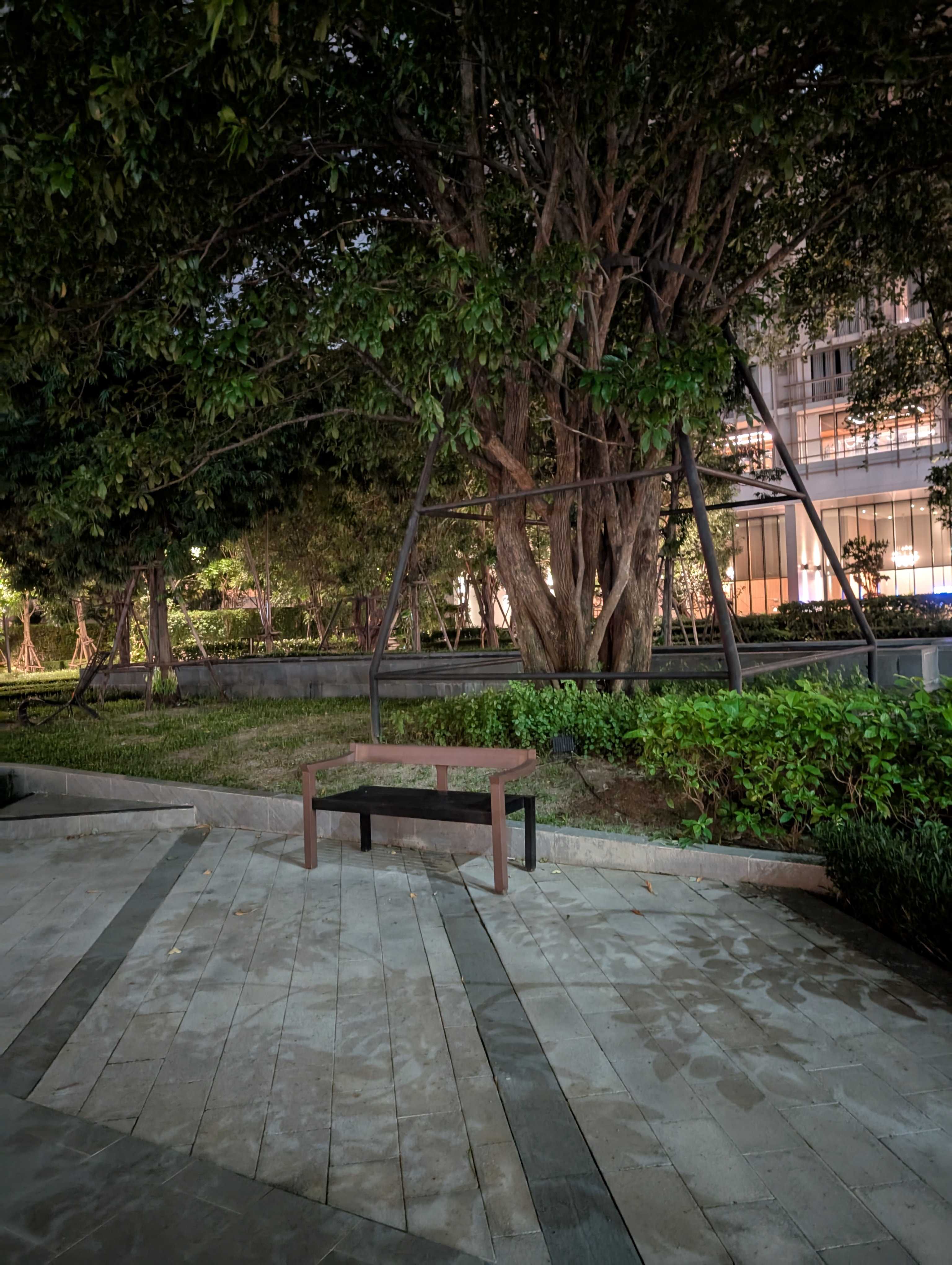 PXL_20240829_123126570-1