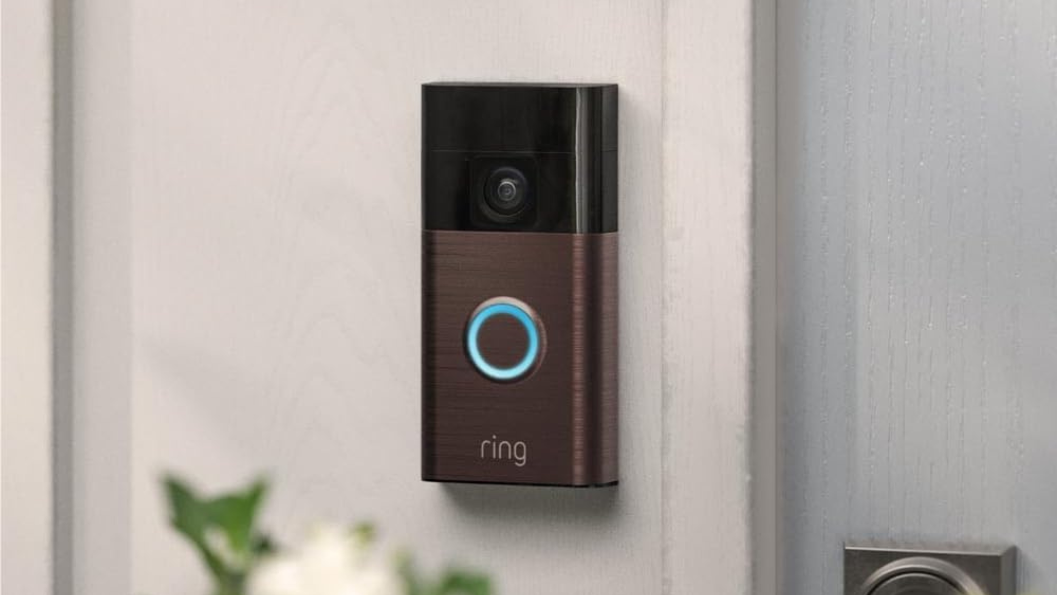 Ring Battery Doorbell on wall