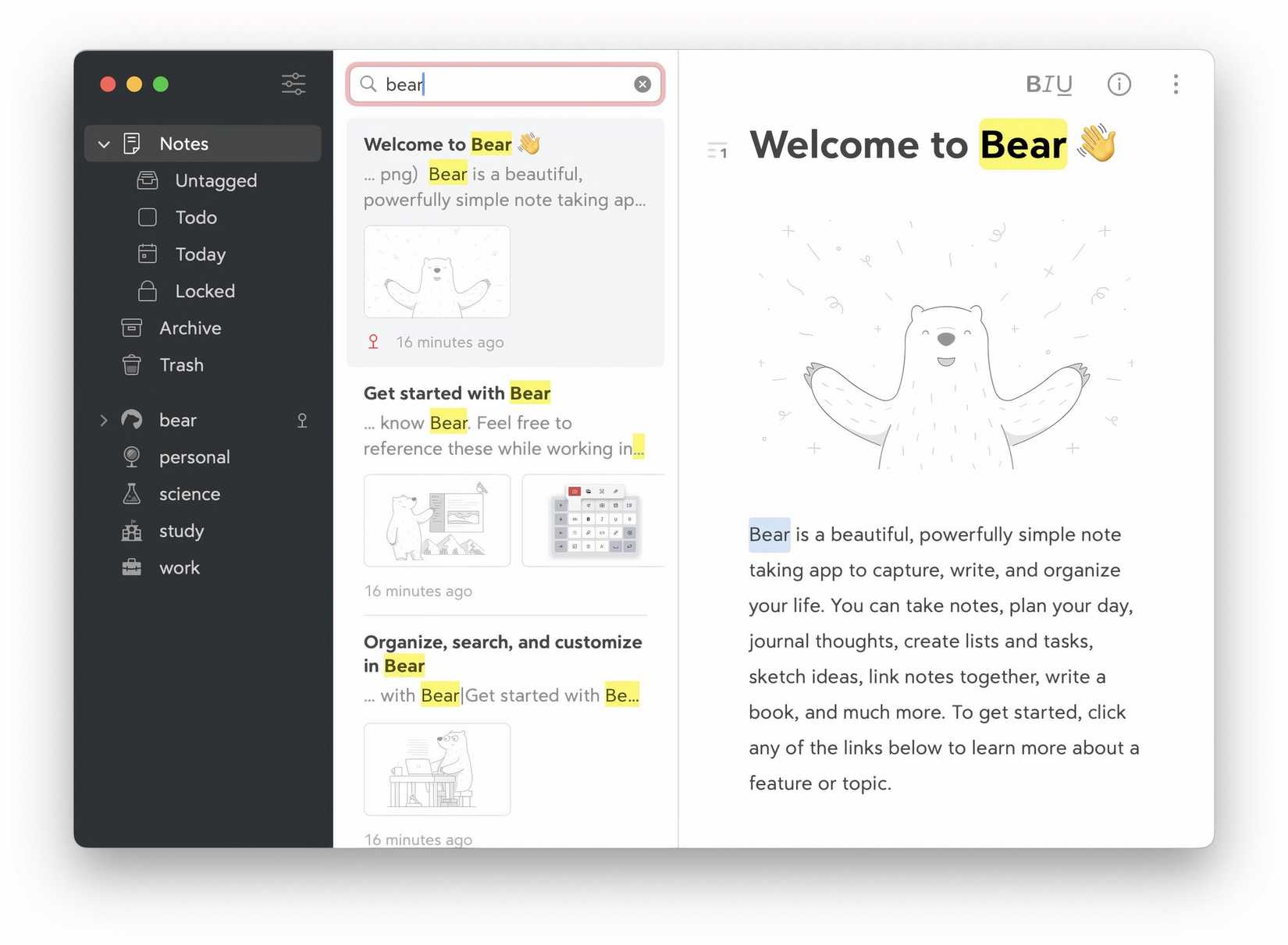 Bear
