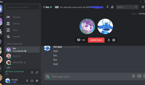 Screenshot showing voice call feature on Discord