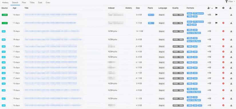 Radarr manual search screenshot