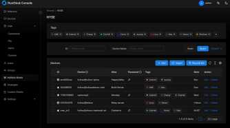 RustDesk console