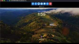 RustDesk connection