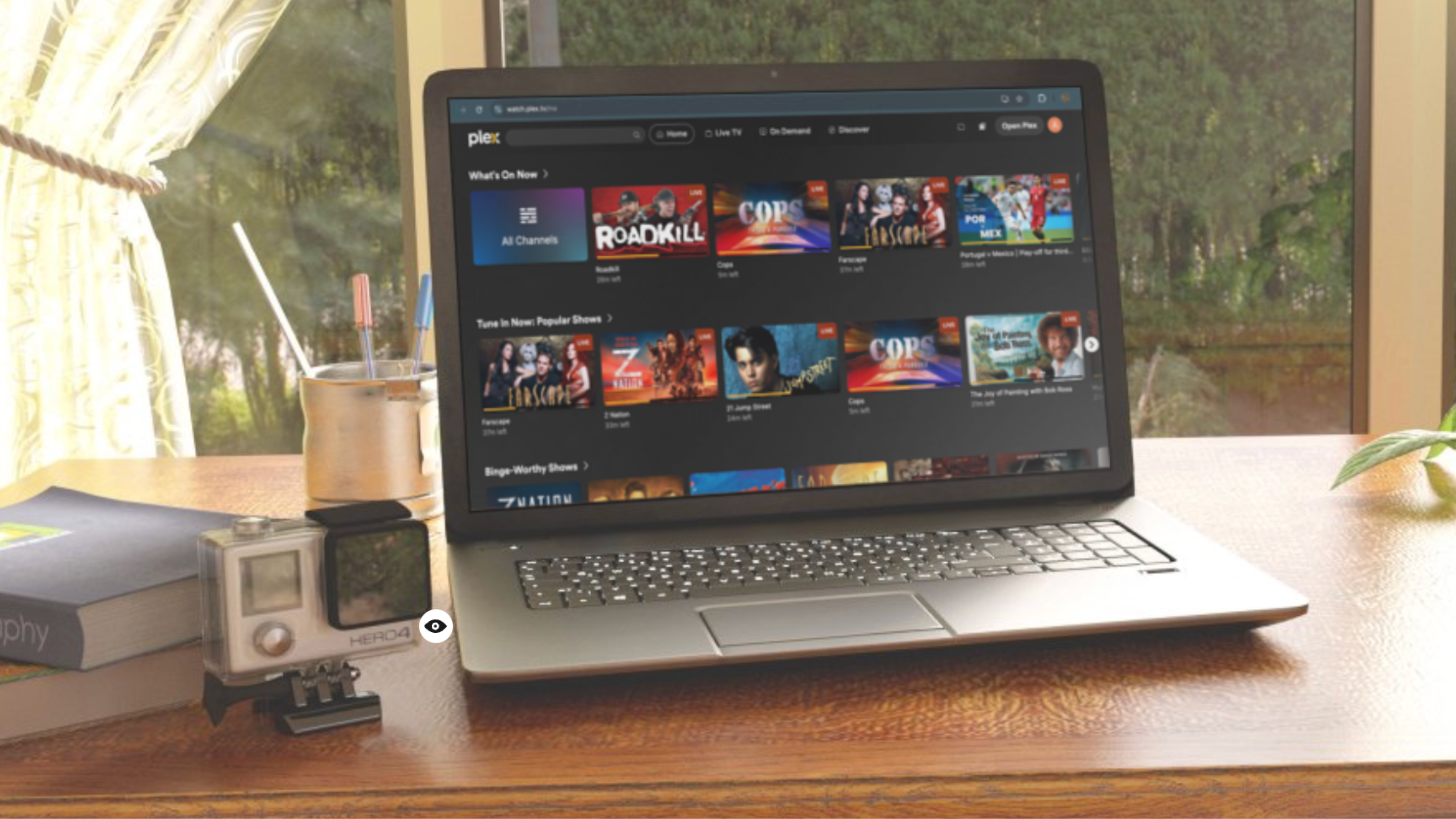Plex on a Windows Laptop