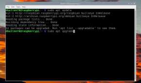 Raspberry Pi terminal showing the apt upgrade command