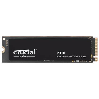 Crucial P310