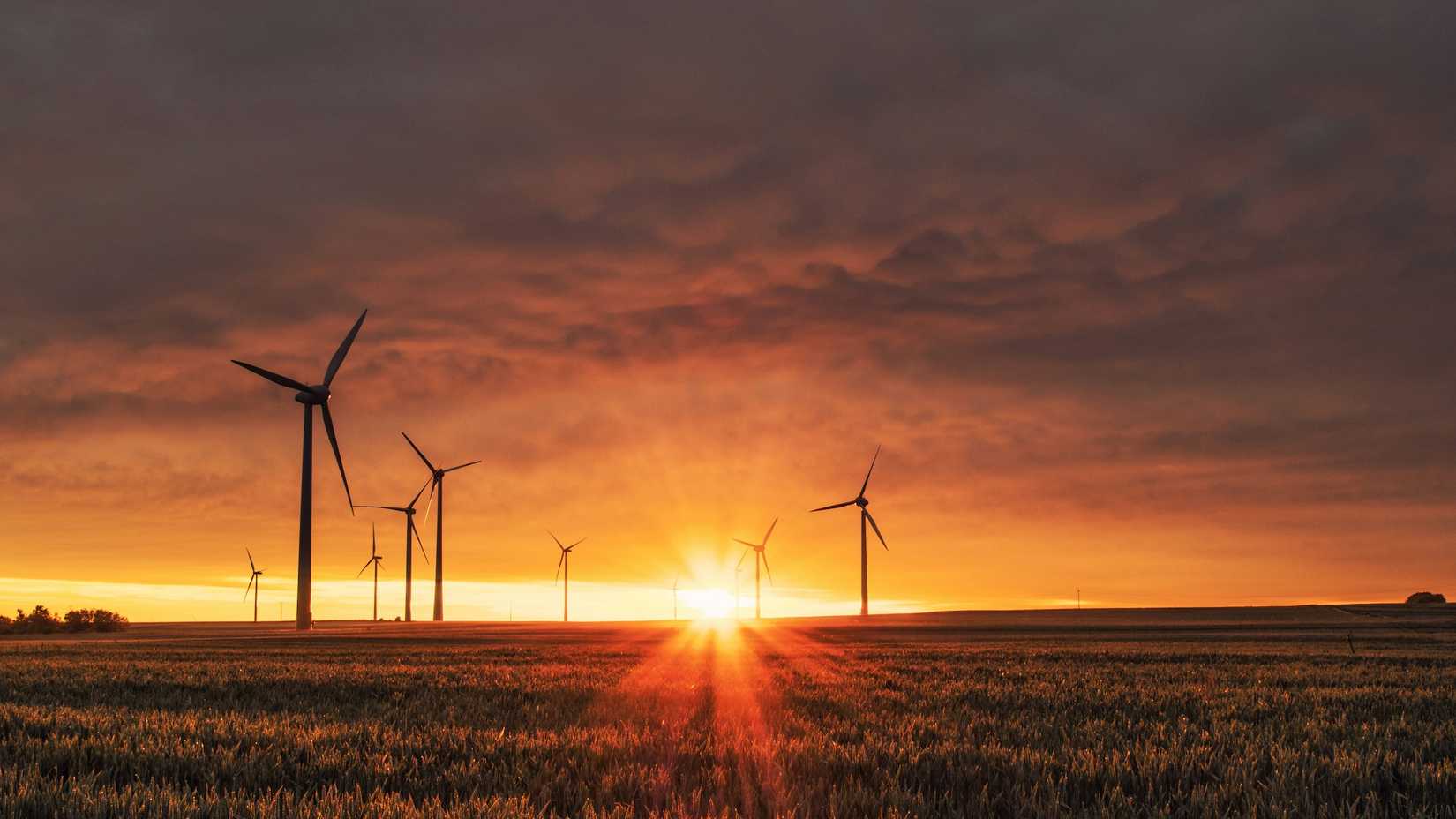 environmental friendliness