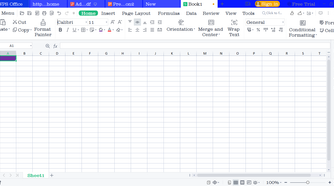 WPS Office Spreadsheets Example