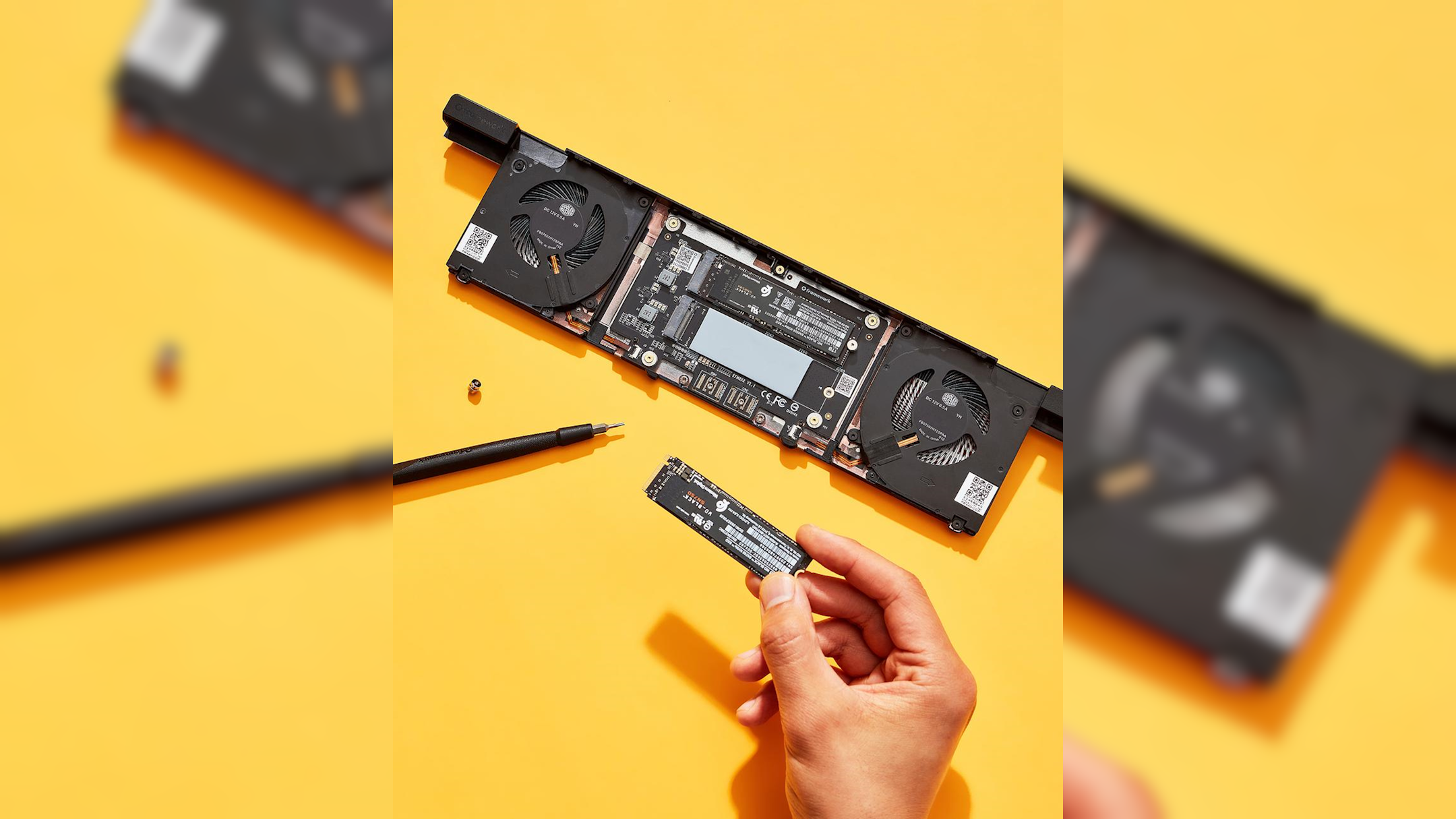 Want a laptop with four SSDs? Framework has you covered