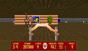 Super Noah's Ark 3D gameplay
