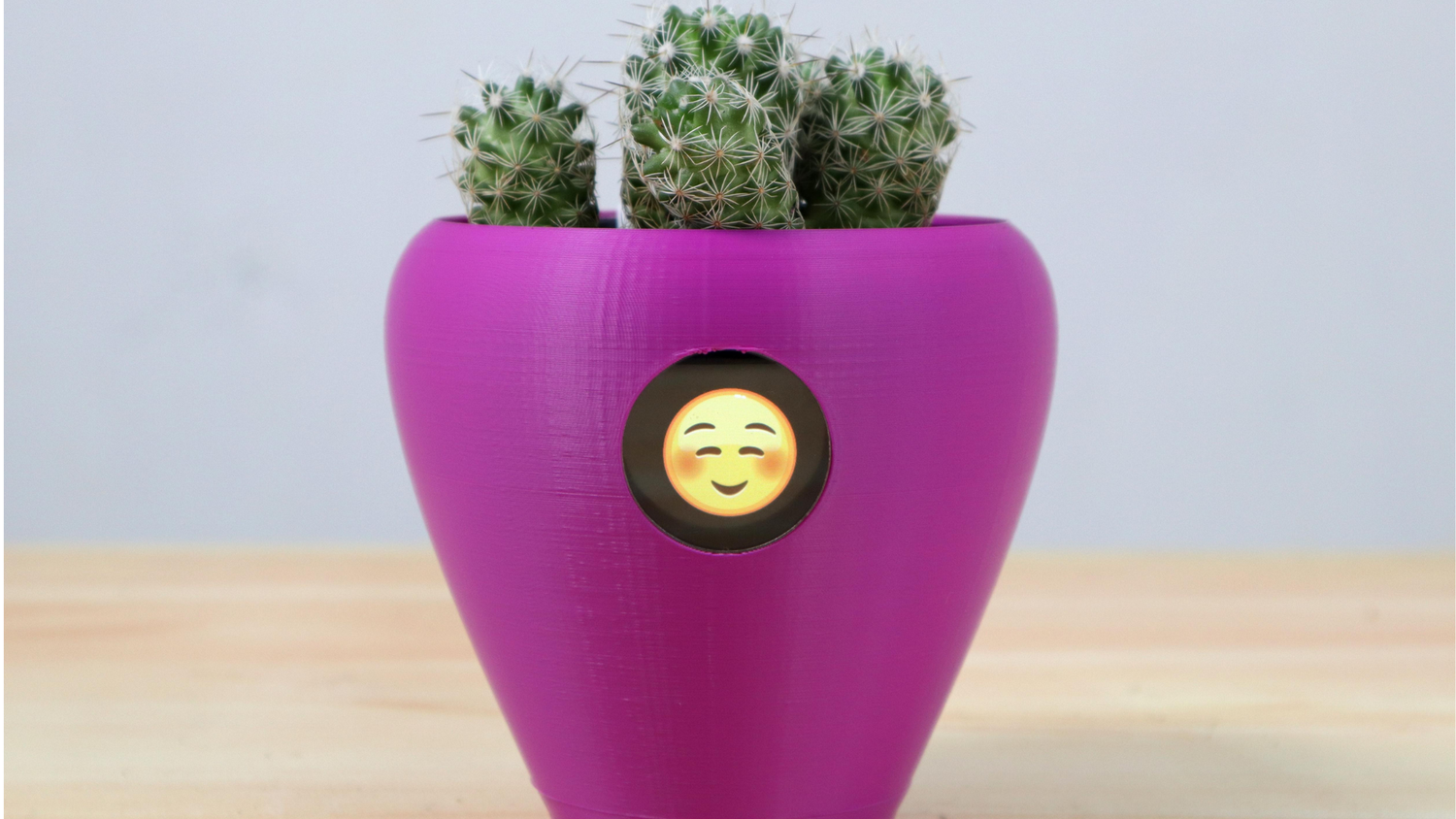 A purple flower pot with a happy emoji on it