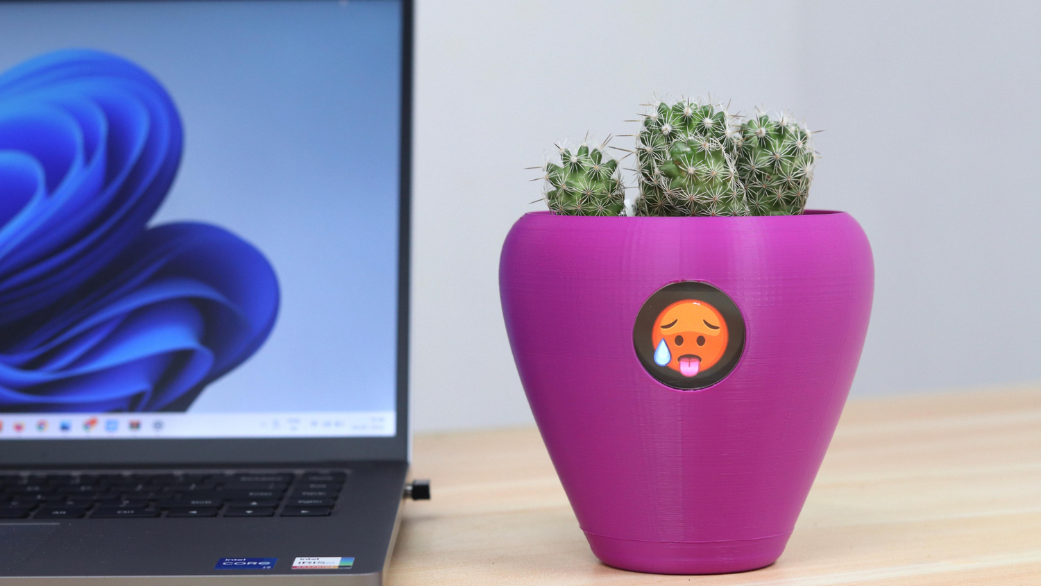 A purple flower pot with a hot emoji on it