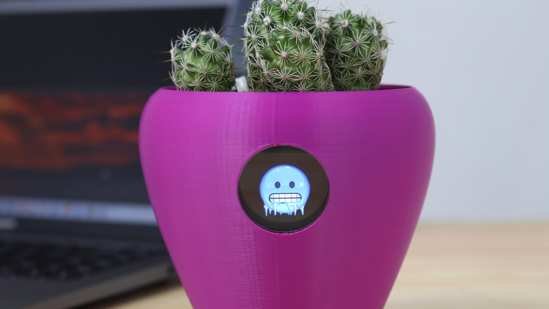 A purple flower pot with a freezing emoji on it