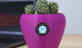 A purple flower pot with a freezing emoji on it