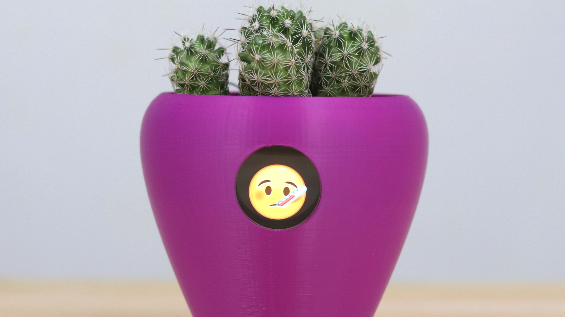 A purple flower pot with a sick emoji on it