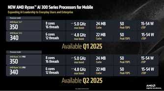 AMD Ryzen AI 300 SKUs