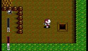 Screenshot of a top-down segment in Blaster Master