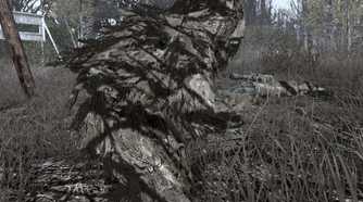 Screenshot from the video game Call of Duty 4: Modern Warfare