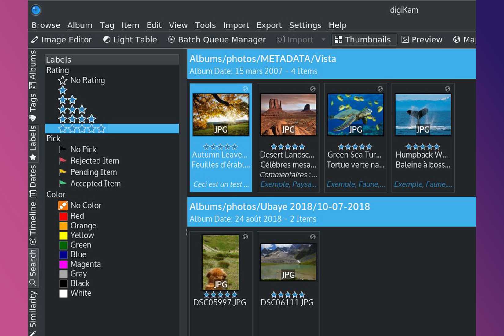 Tool Box Camera 8 open-source photo management tools for great library organization