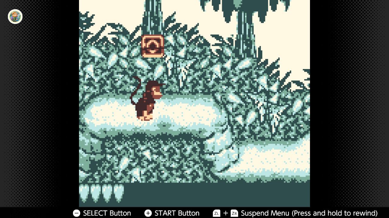 Screenshot of Donkey Kong Land for the Game Boy played with the Game Boy Color filter on Nintendo Switch online