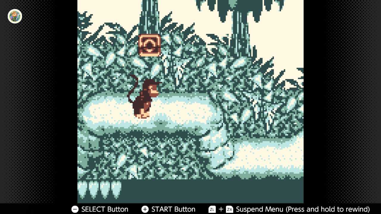 Screenshot of Donkey Kong Land for the Game Boy played with the Game Boy Color filter on Nintendo Switch online