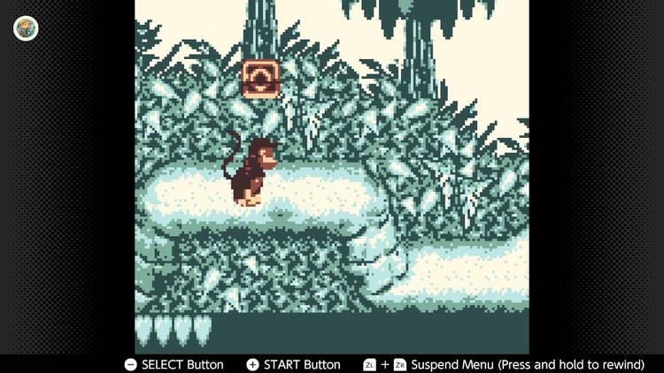 Screenshot of Donkey Kong Land for the Game Boy played with the Game Boy Color filter on Nintendo Switch online