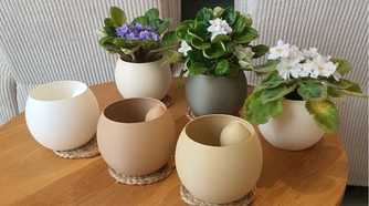 Flowerpot for violet