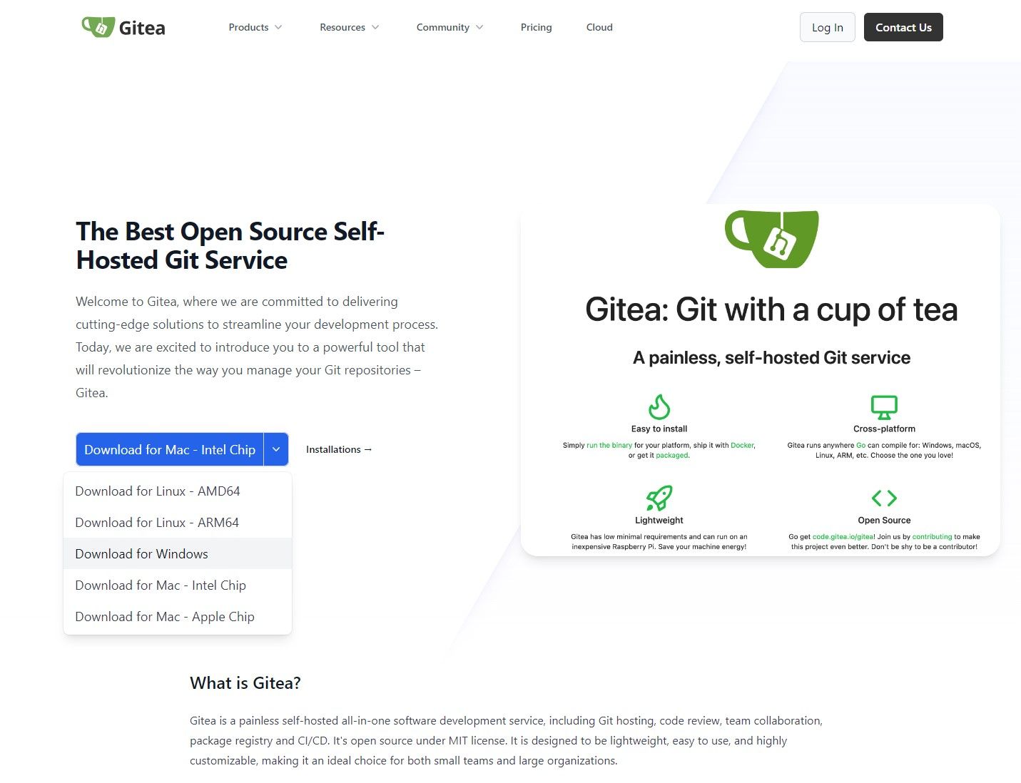 Gitea is more than just a self-hosted GitHub alternative