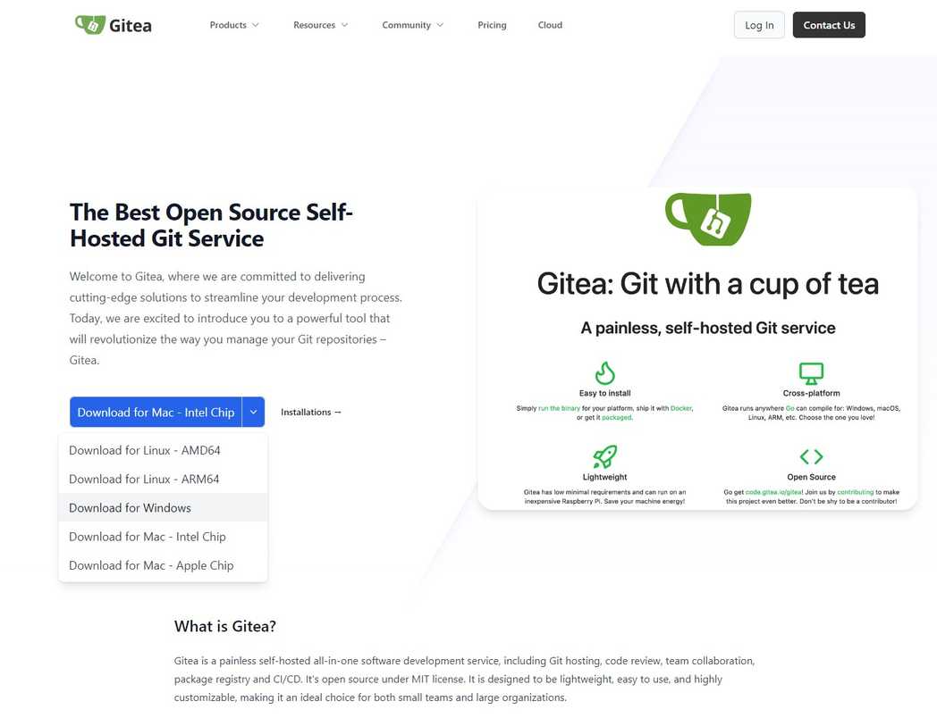 Gitea is more than just a self-hosted GitHub alternative