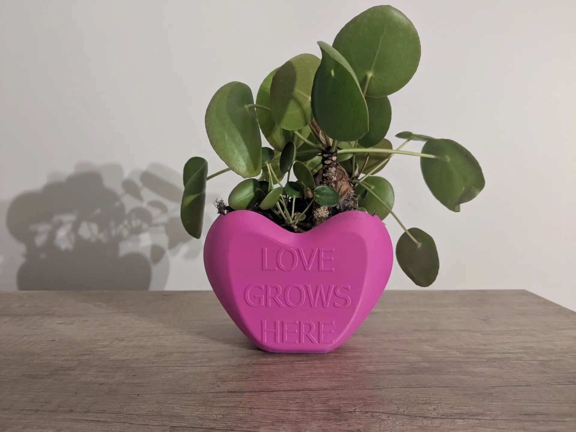 Heart flower pot