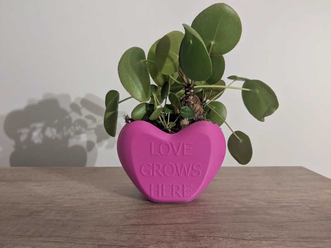 Heart flower pot