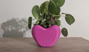 Heart flower pot