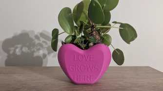 Heart flower pot