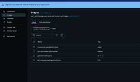 Hoarder app container in Docker