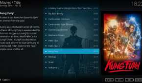 Screenshot showing Kodi video library