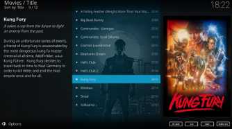 Screenshot showing Kodi video library