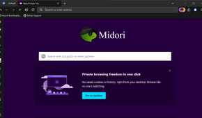 Midori browser private window