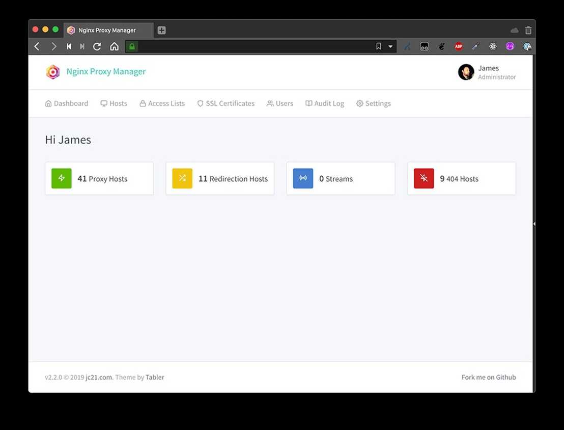 nginx proxy manager dashboard