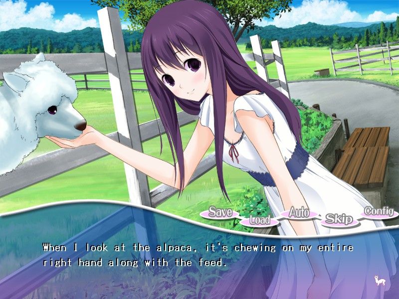 A screenshot from the game PacaPlus