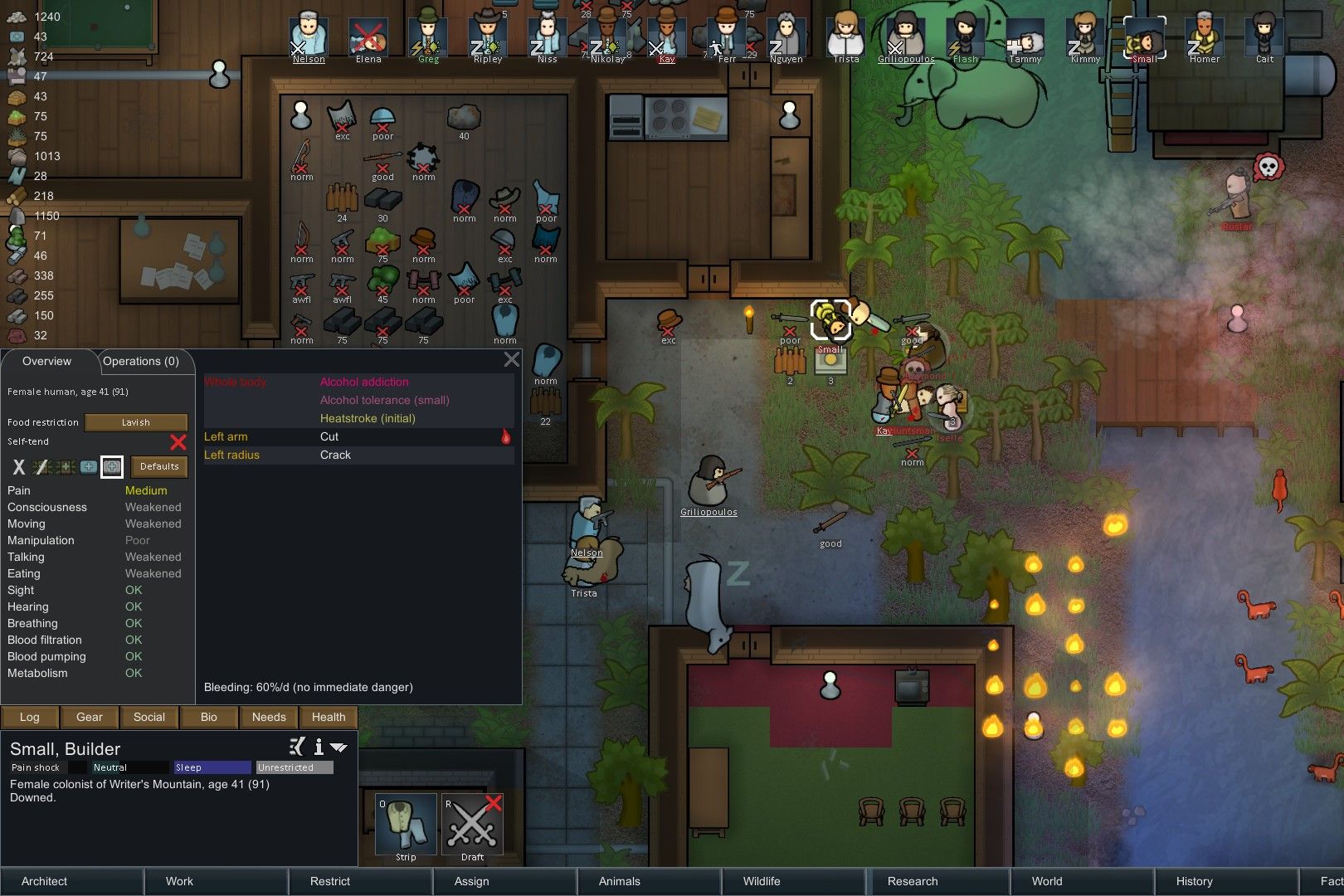 Screenshot from the game RimWorld