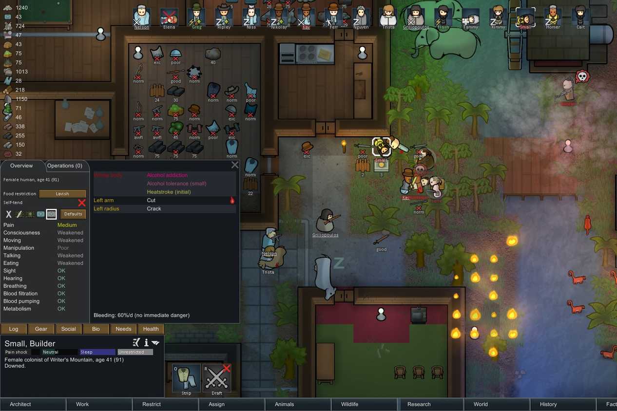 Screenshot from the game RimWorld