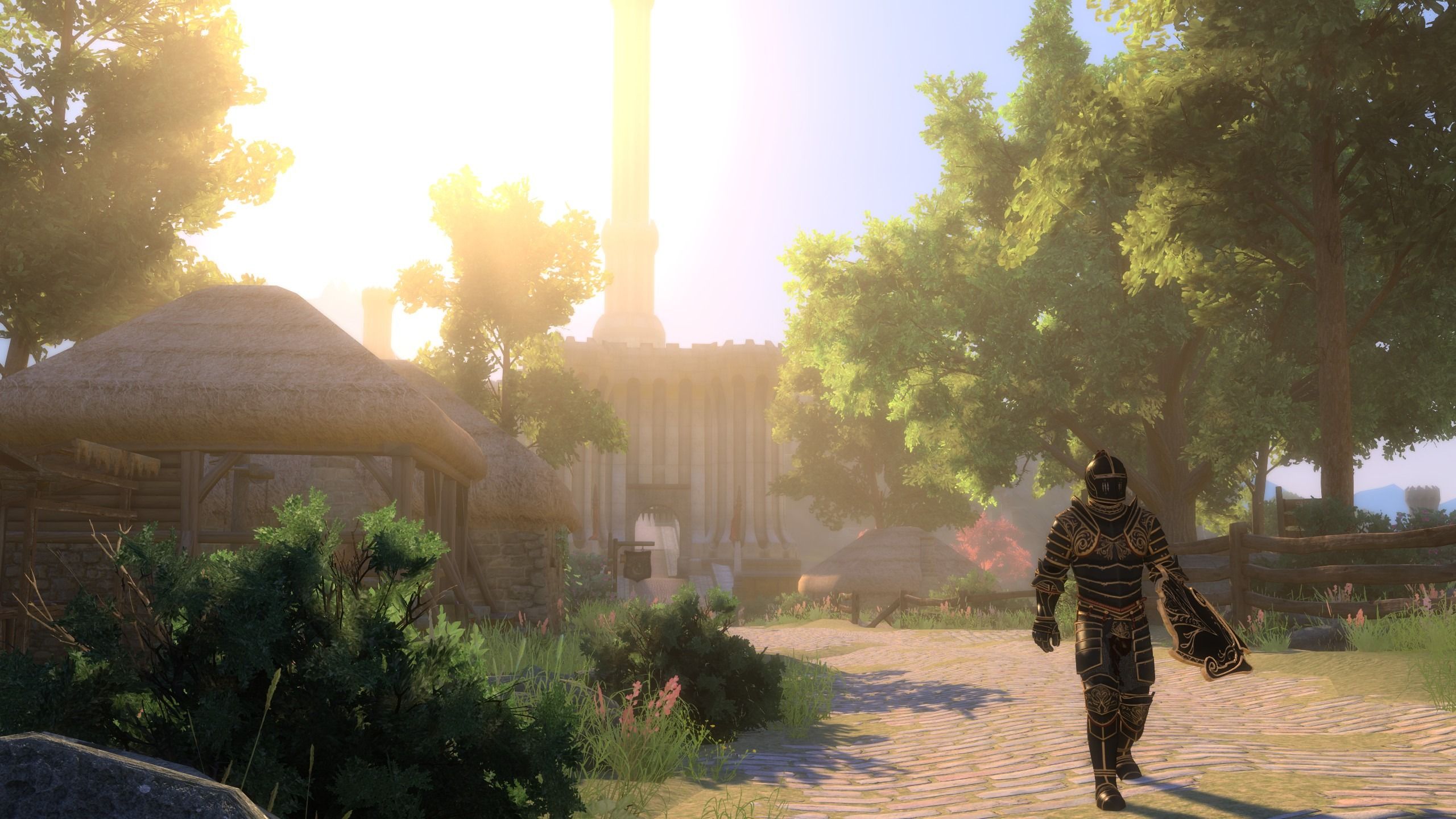 screenshot from skyblivion