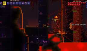 Terraria sample 1