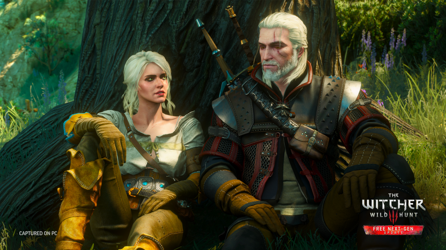 The Witcher 3 sample 1