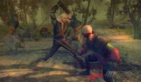 Screenshot from the video game The Witcher