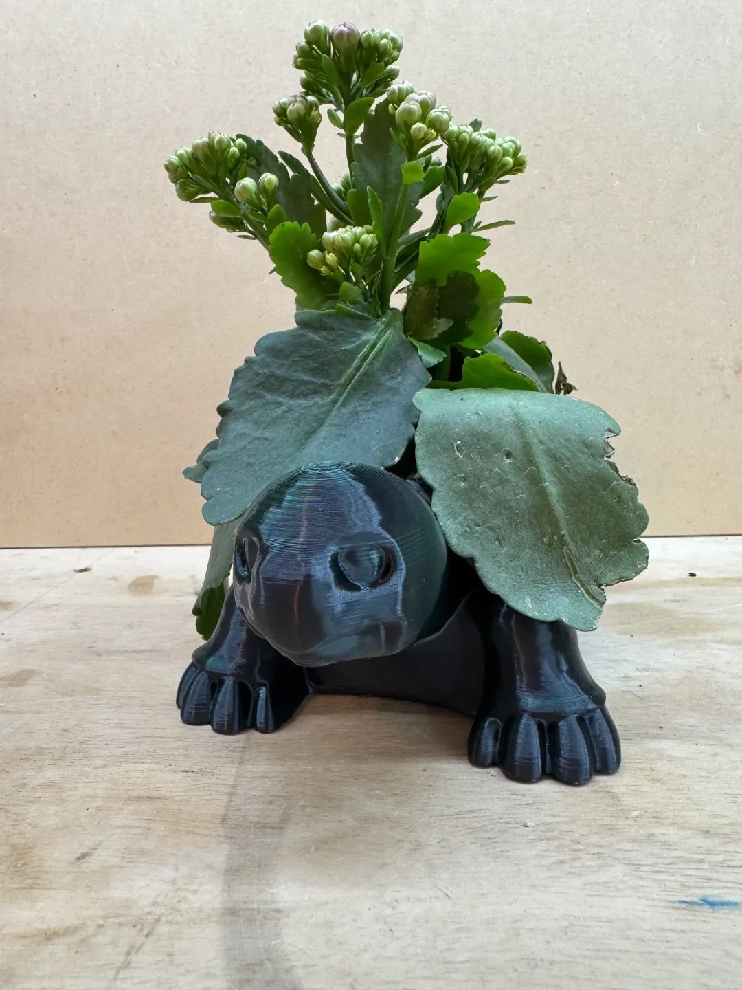 Turtle Planter