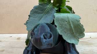 Turtle Planter